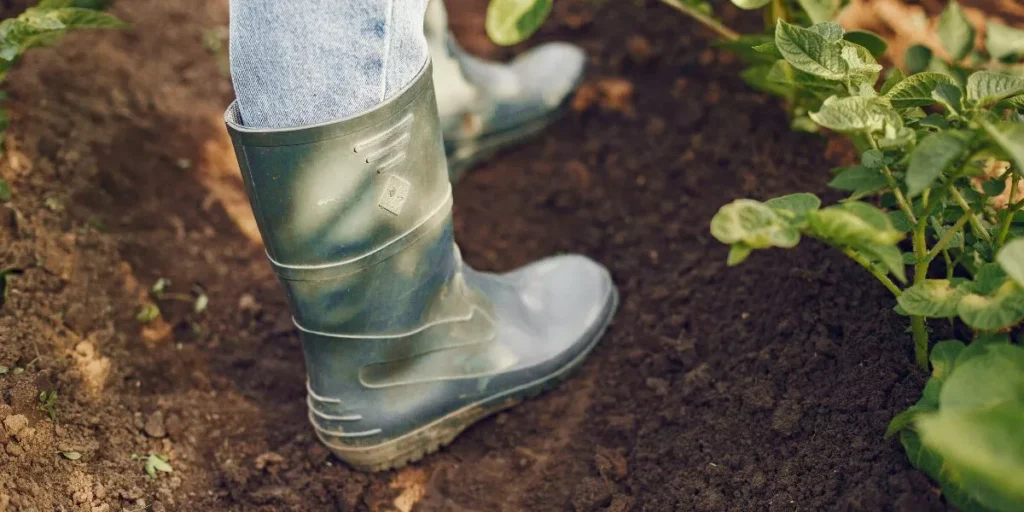 Why Is It Important to Wear Proper Footwear in the Garden? Why Is It Important to Wear Proper Footwear in the Garden?