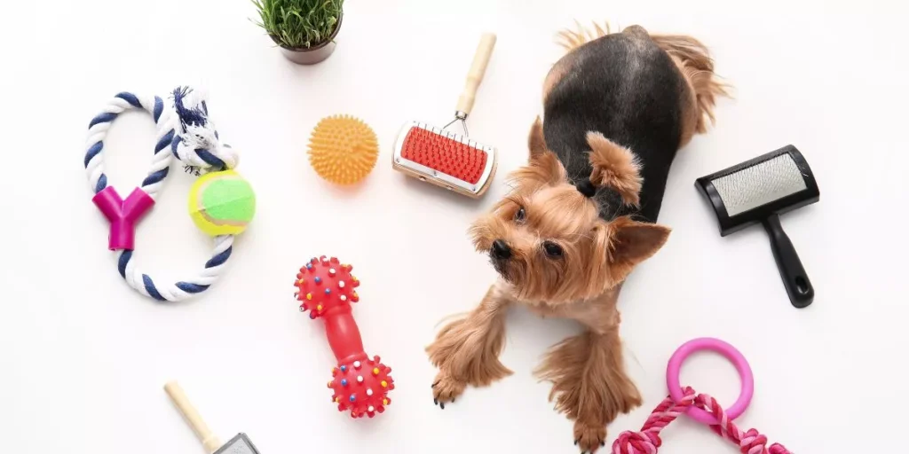 What Are the Top Travel Accessories for Pets on the Go?