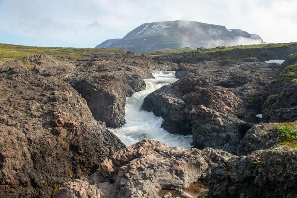 How Do You Safely Cross Rivers and Streams in the Wild? How Do You Safely Cross Rivers and Streams in the Wild?